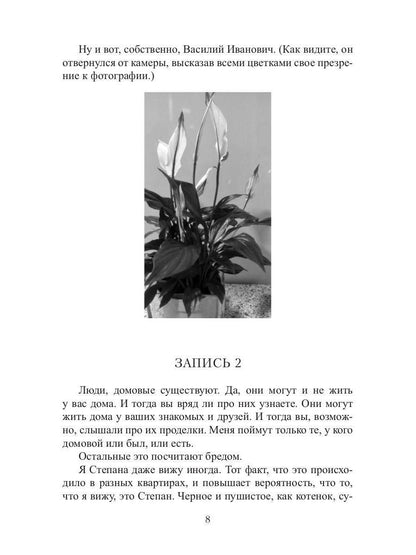Кот, Домовой et Василий Иванович