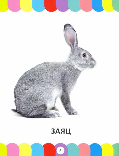 Il y a une grande encyclopédie pour les petits de 1 à 3 années. Photographie