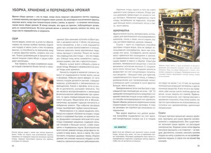 Фруктовый сад / Титчмарш А