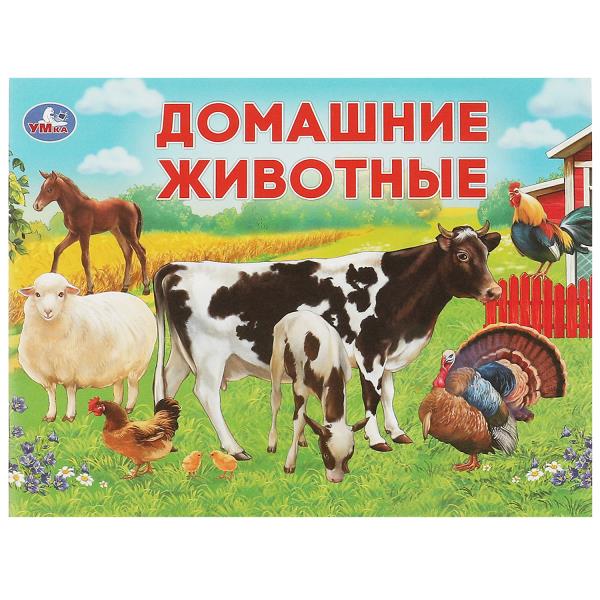 Домашние животные. Умный малыш. 200х160мм. Скрепка. 12 стр. Умка в кор.50шт