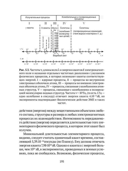 Квант мироздания: Квантовая физика и биоэнергетика живых организмов