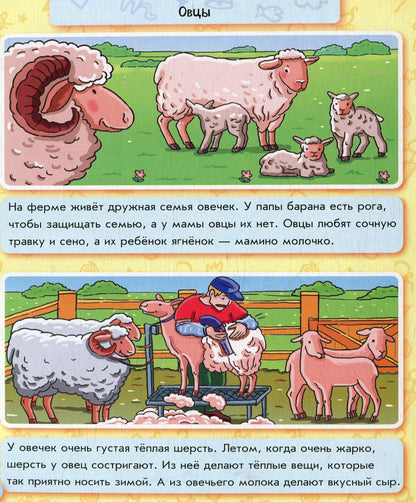 Encyclopédie des cartes : Vie à la ferme (р)