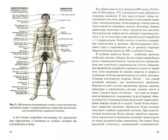 Картофель. Полезные и лечебные свойства. Мифы и реальность