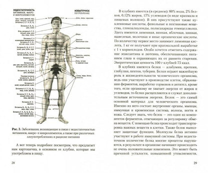 Картофель. Полезные и лечебные свойства. Мифы и реальность