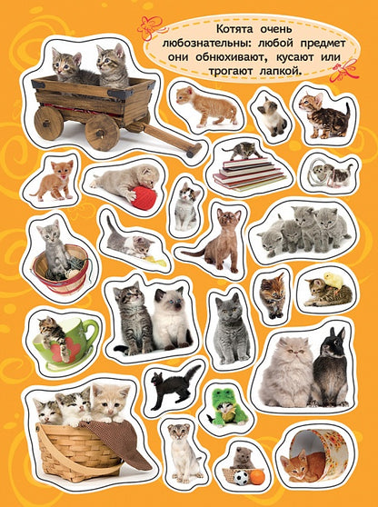 100 autocollants. Котята