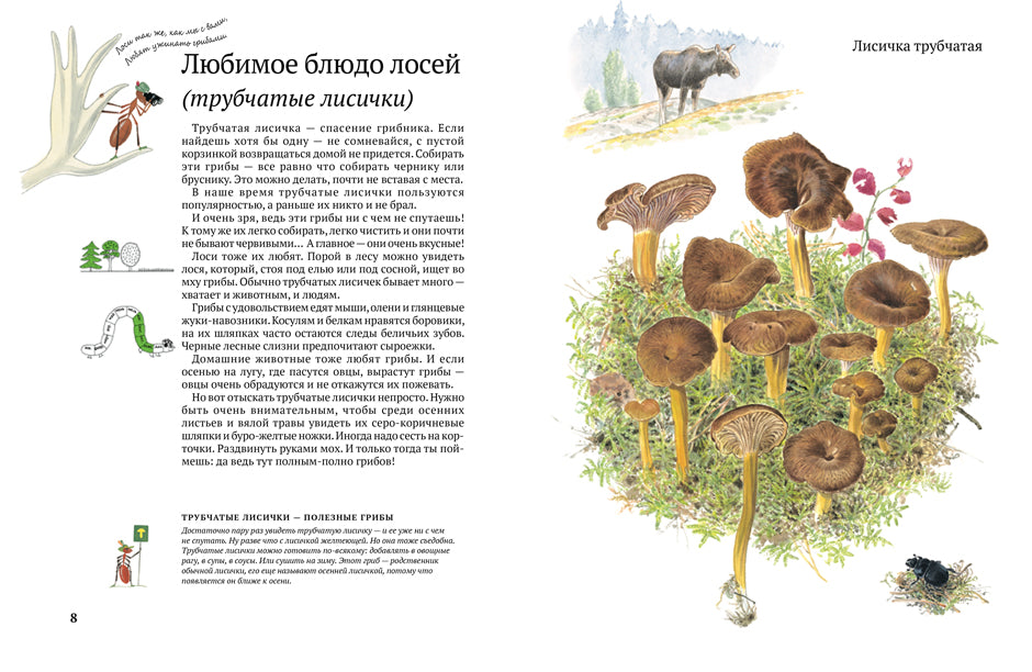 Софи в мире грибов