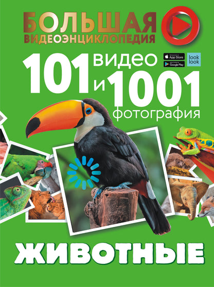 Животные. 101 vidéos et 1001 photos