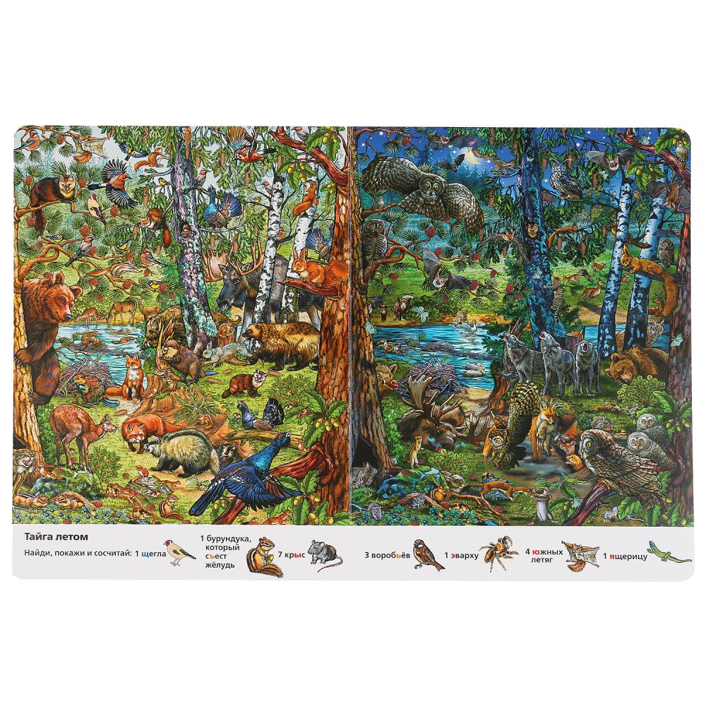 "УМКА". ВРЕМЕНА ГОДА. НАЙДИ И ПОКАЖИ. ВИММЕЛЬБУХ. А4 ФОРМАТ: 235Х315 ММ. ОБЪЕМ: 12 СТР. в кор.20шт