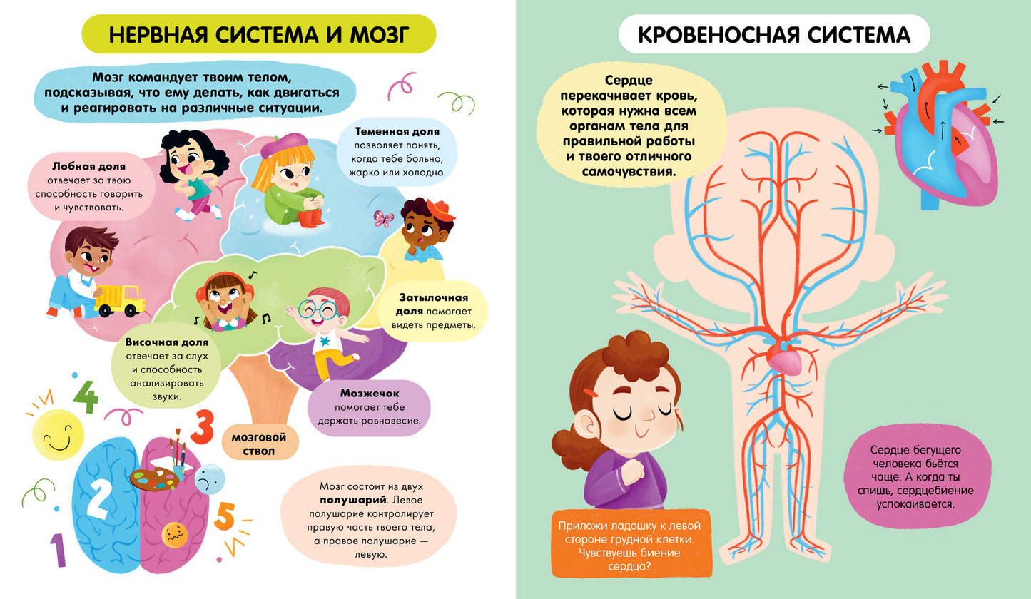 Удивительные энциклопедии. Тело человека (мягкая обл.)