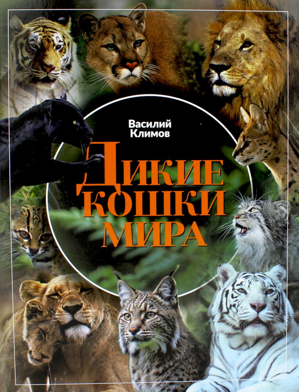 Дикие кошки мира