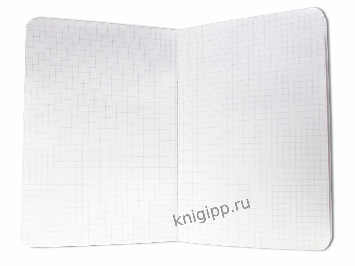 Gatto Rosso. Блокнот в клетку Mon carnet. НЕВИННОСТЬ