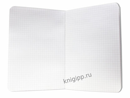 Gatto Rosso. Блокнот в клетку Mon carnet. НЕВИННОСТЬ