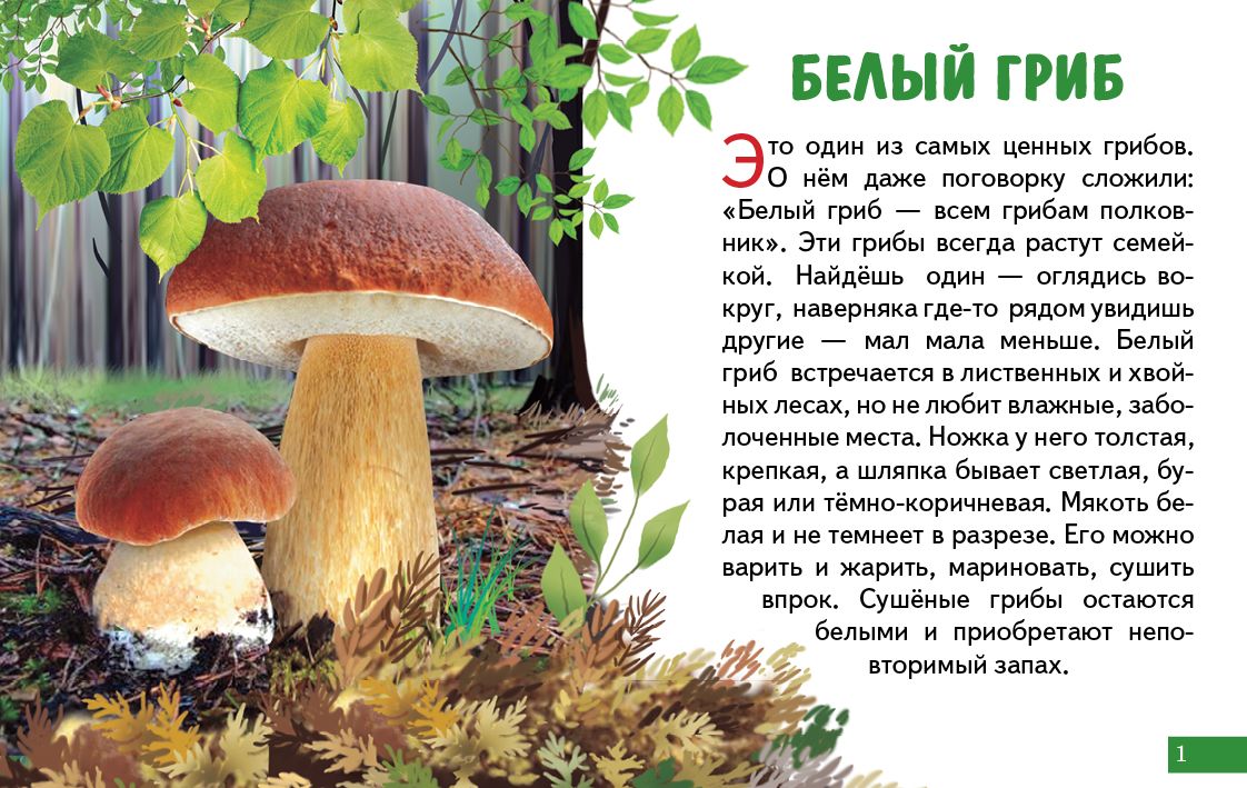 Cartes (европодвес). Грибы ; Cartes (европодвес). Грибы