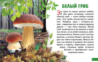 Cartes (европодвес). Грибы ; Cartes (европодвес). Грибы