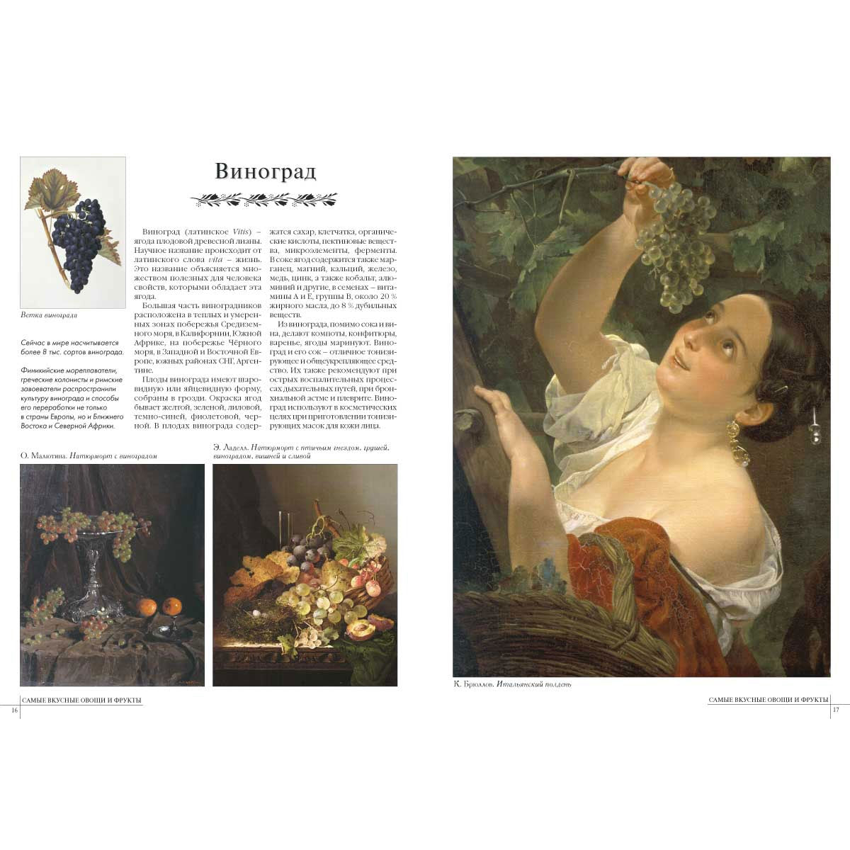 50.Самые вкусные овощи и фрукты