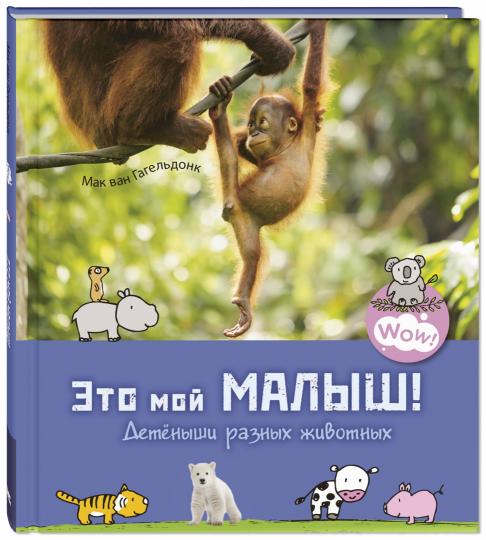 C'est mon petit! Детёныши разных животных (ожидается поступление)