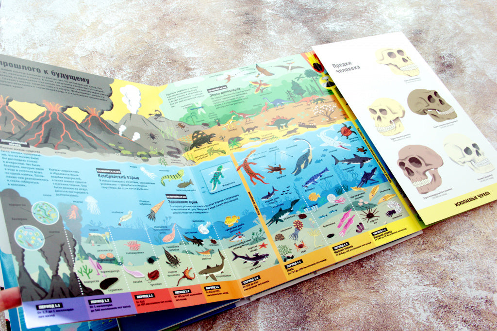 Quoi ? Pourquoi? Pourquoi? Plus grand livre sur la planète
