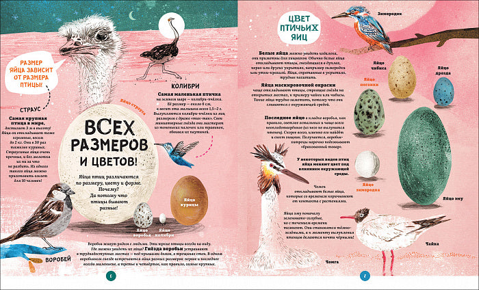 Яйца, или Гоголь-моголь для любознательных
