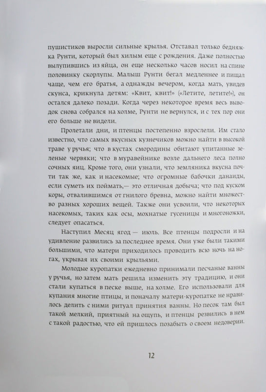 Classique dans l'histoire : Krasношейка (р)