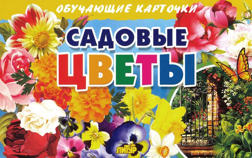 Карточки. Садовые цветы ; Карточки. Садовые цветы
