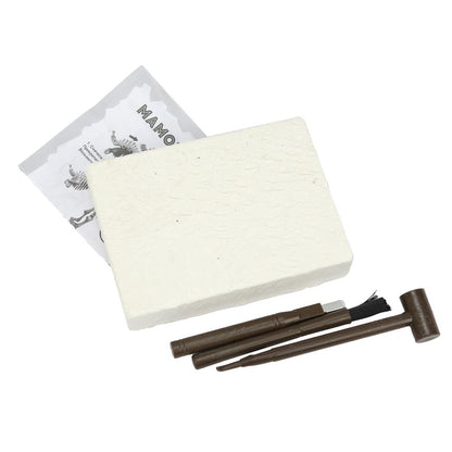 Raskopki raskopki, korobka IQ Эксперимент в кор.2*24шт