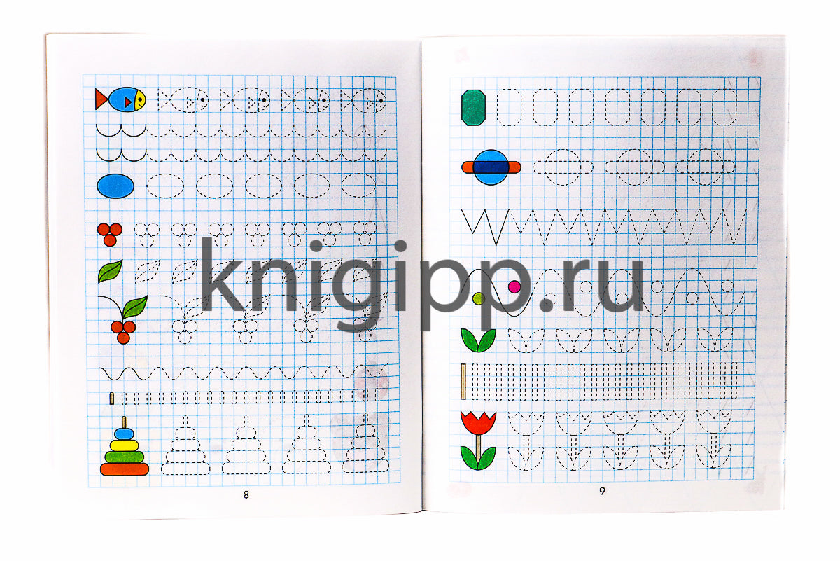 ВСЕ ПРОПИСИ А5. КАЛЛИГРАФИЧЕСКИЕ