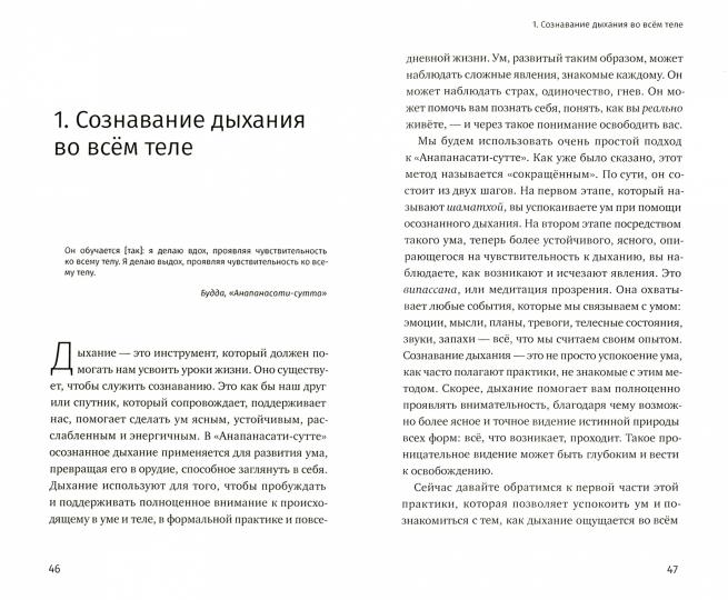 Три шага к пробуждению. Практика внимательности в повседневной жизни