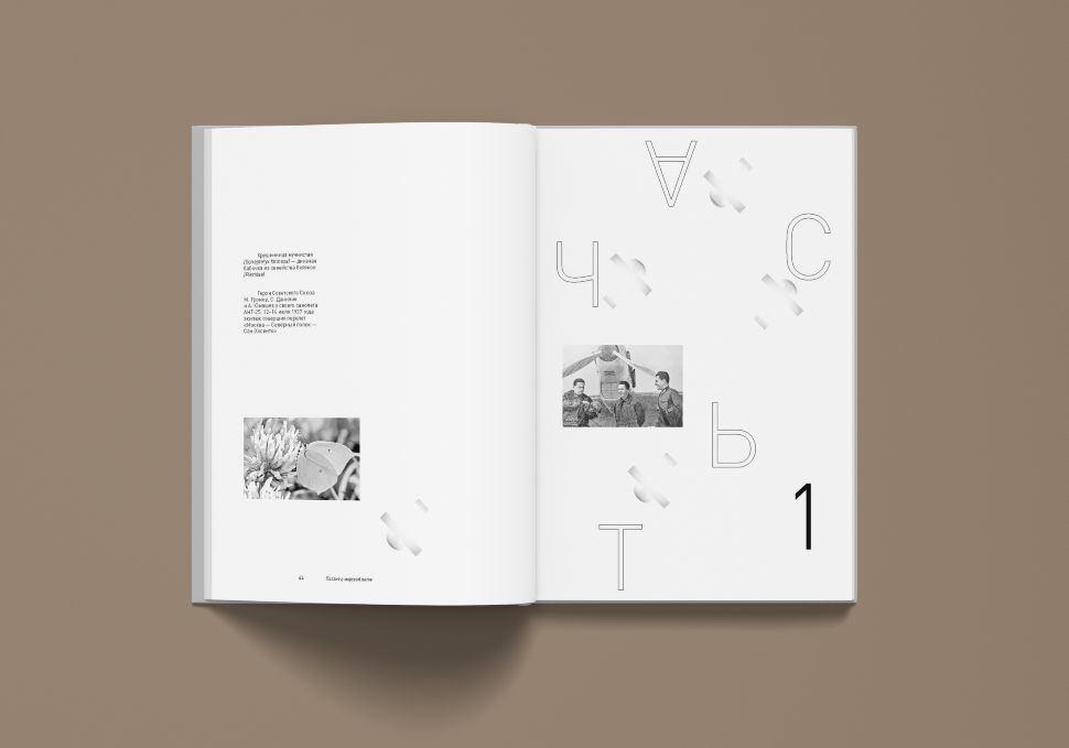 Левинг Ю. Поэзия в мертвой петле (Мандельштам и авиация)/ Дизайн Б. В. Трофимова