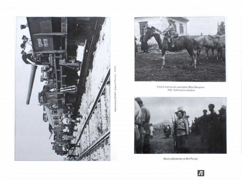 Семь "почему" российской Гражданской войны. Ганин А.В.