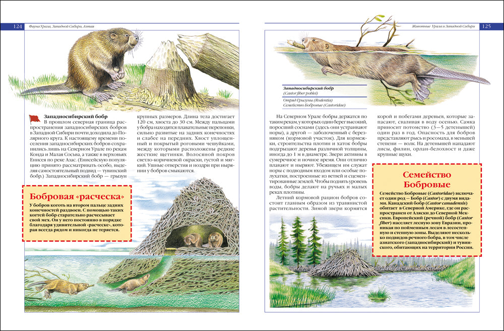 Красная книга России. Животные