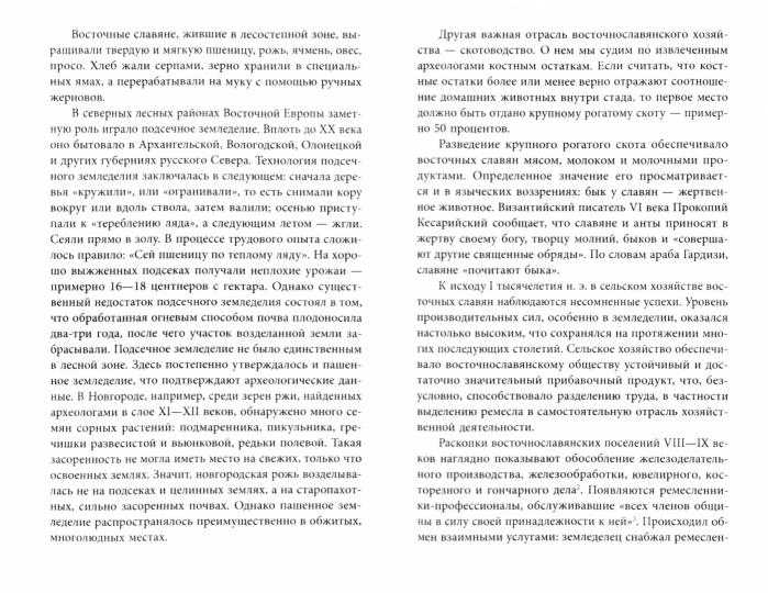 Загадка крещения Руси. Во что мы верили и верим