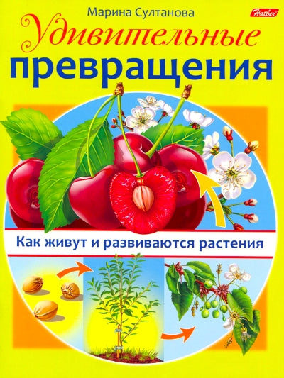 Удивительные превращения. Как живут и развиваются растения