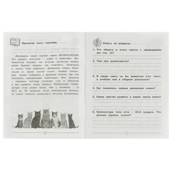 Littérature. Смысловое чтение. Рабочая тетрадь младшего школьника. 165х215 mm,32 pièces. Умка в кор.40шт