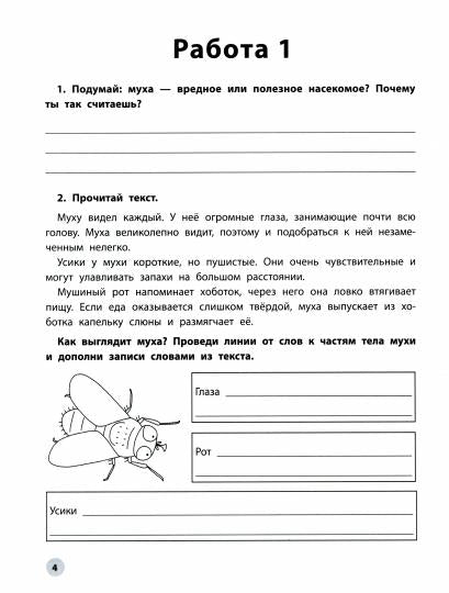 Функциональное чтение: 2 класс