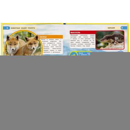 Животные нашей планеты. Энциклопедия малыша А4. 197х255мм, 48 стр.мелов. бумага Умка в кор.15шт