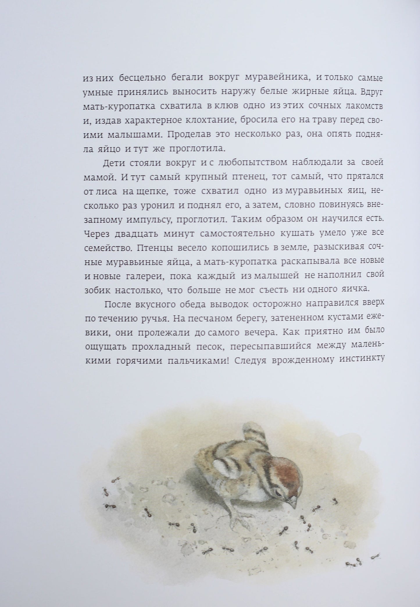 Classique dans l'histoire : Krasношейка (р)