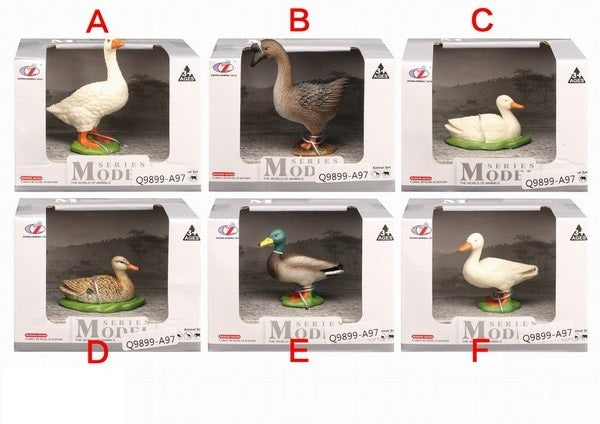 Jeu "Птица" 6 vidéos dans un assortiment. в/к 10*7*7,5 cm art.Y26752013