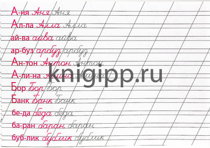 КАЛЛИГРАФИЧЕСКАЯ ПРОПИСЬ А5. album. ПИШЕМ СЛОВА