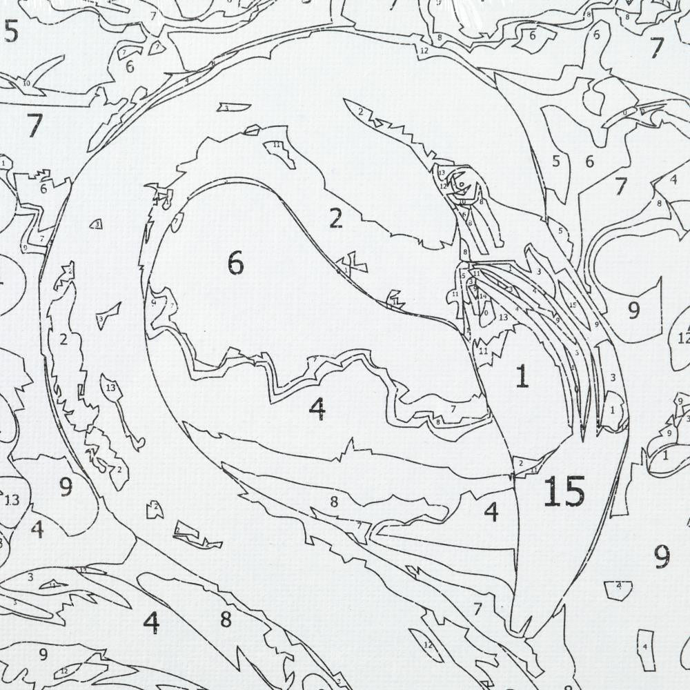 Étui en carton avec numéro 28,5*20 cm pour le modèle AP dans le cadre 48 pouces