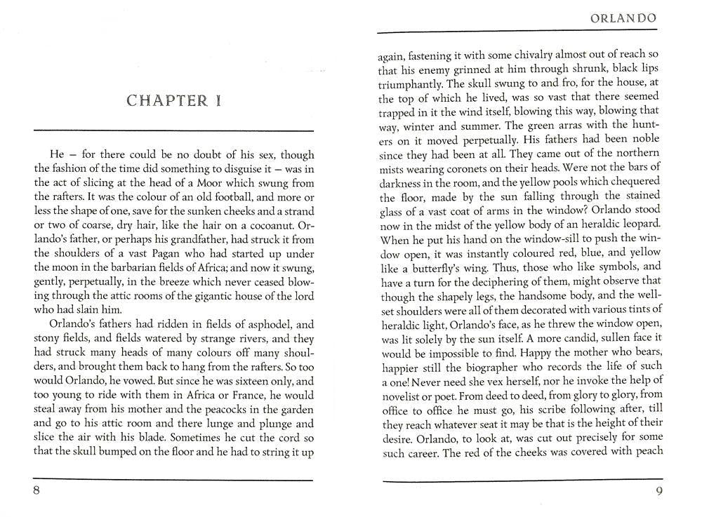 Orlando = Орландо: роман на англ.яз