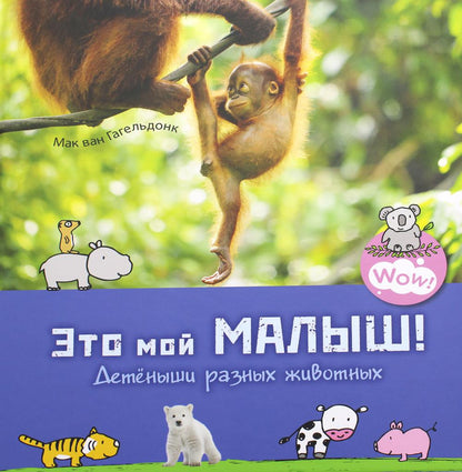 C'est mon petit! Детёныши разных животных (ожидается поступление)