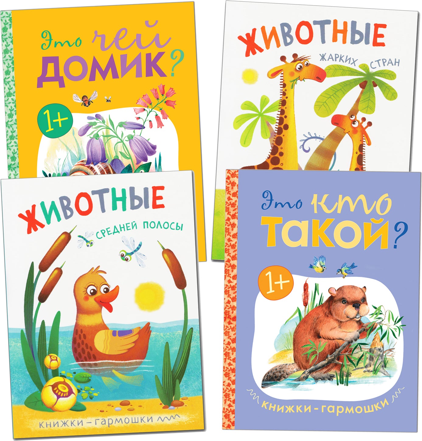 Книжки-гармошки. Набор из 4 книг