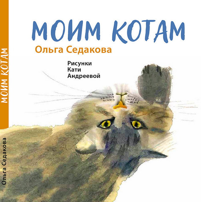 Моим котам