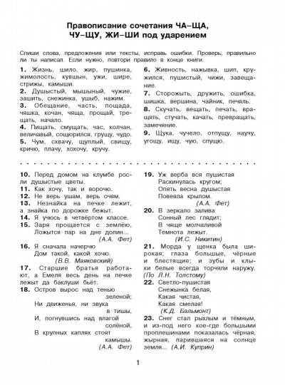 Русский язык. Исправь ошибку. 4 класс