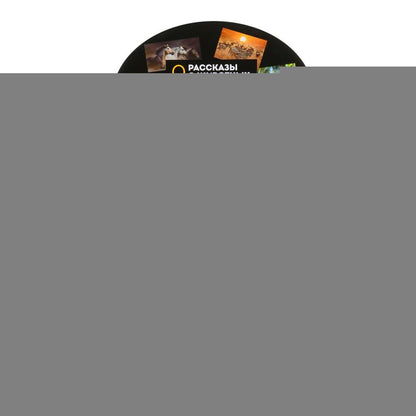 Jouet en plastique pour dinosaure, 12,7-20 cm, 6 pouces, 36 pouces/écran, ESPAGNE, jusqu'à 24 pouces, en cor.10 pouces