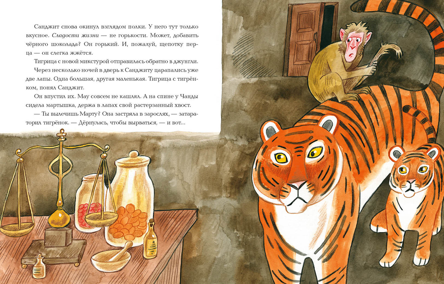 Лекарь Санджит Ваманкар : [сказка] / О. В. Сafronova ; IL. Е. В. Гавриловой. —M. : Нигма, 2023. — 40 с. : IL.