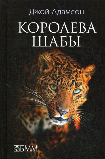 Королева Шабы : история жизни африканского леопарда