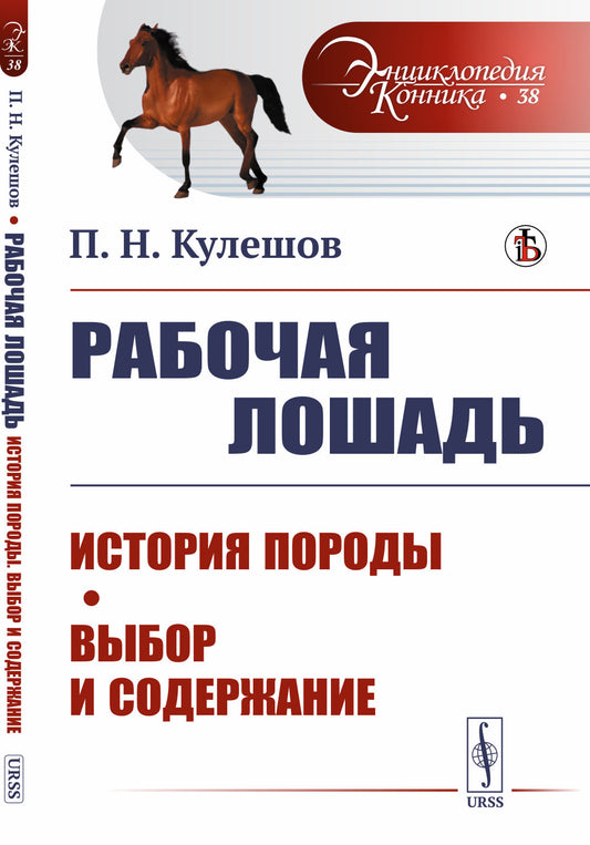 Рабочая лошадь: История породы. Выбор и содержание