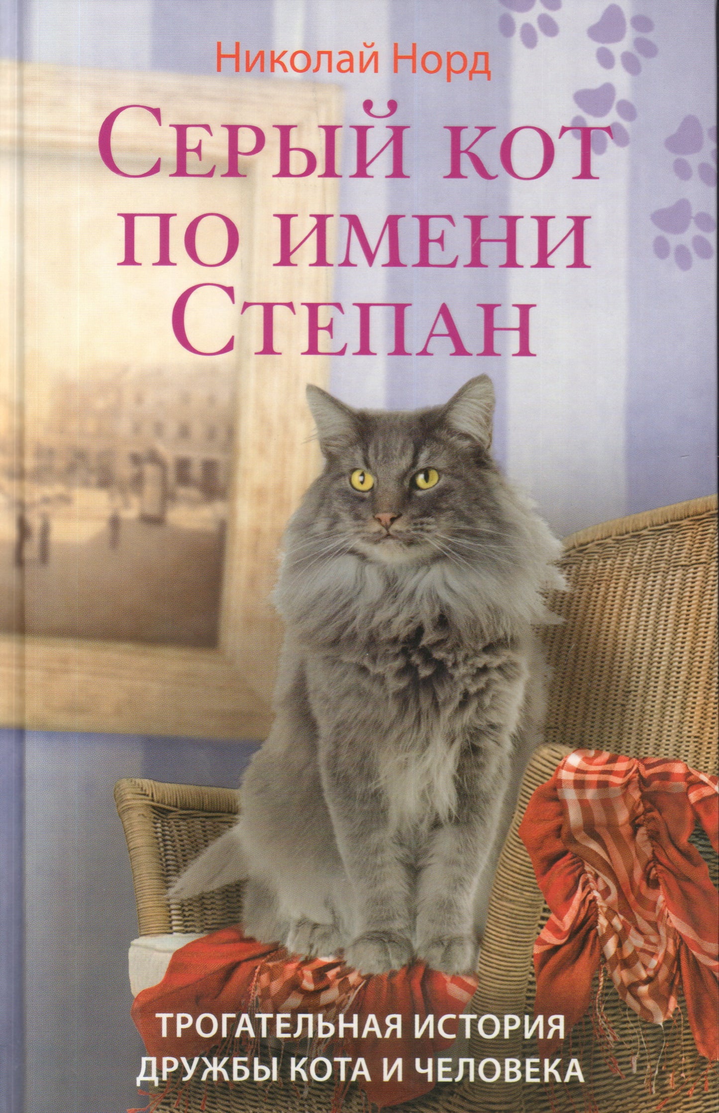 Серый кот по имени Степан. Трогательная история дружбы кота и человека.