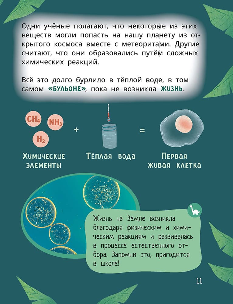 Лёва и Лиза изучают эволюцию